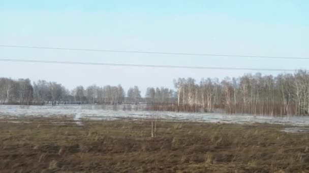 Сибирский весенний пейзаж — стоковое видео