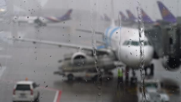 Lluvia tropical en el aeropuerto — Vídeo de stock