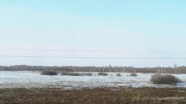 Paisagem de primavera siberiana — Vídeo de Stock