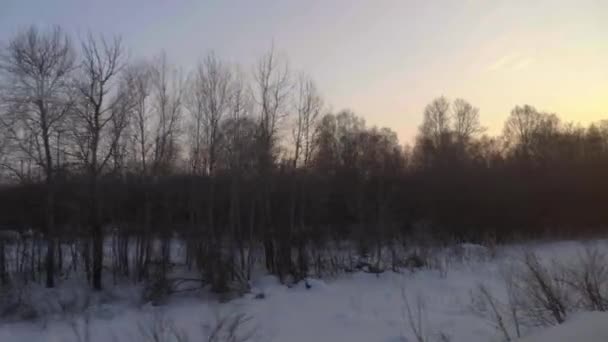 Siberische lente landschap — Stockvideo