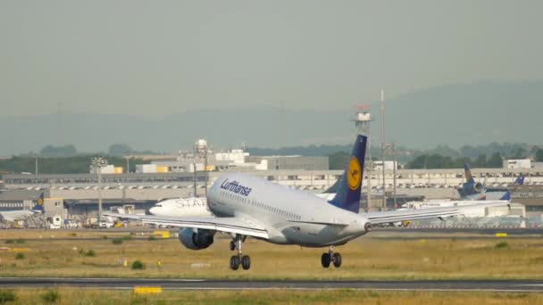 特萨莎空客A319着陆 — 图库视频影像