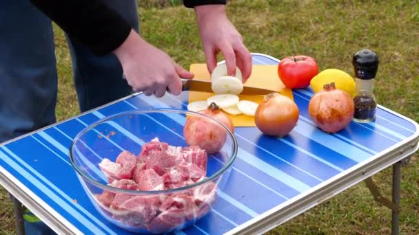 Männer schneiden Zwiebeln für BBQ — Stockvideo