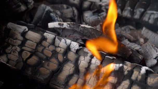 Slow motion fire burning charcoal and flame glowing burn — Stock Video