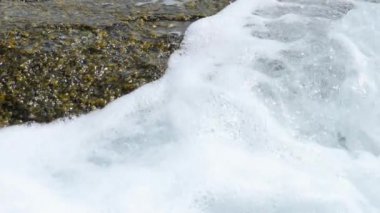 Yengeçler ve plajda kayaya rockskippers