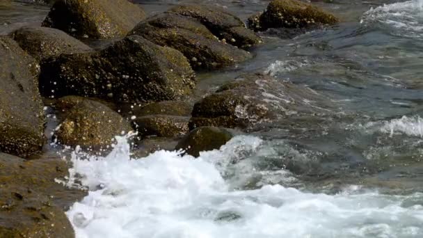 Океанських хвиль берег — стокове відео
