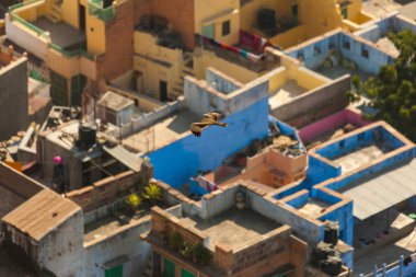 Jodhpur mavi şehrinin çatıları