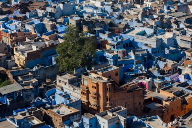 Jodhpur mavi şehrinin çatıları