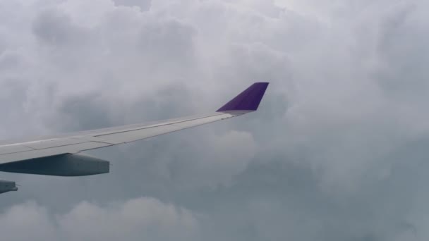 Flygfoto från fallande flygplan — Stockvideo