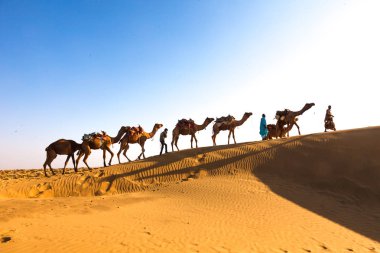 Desert Caravan Jaisalmer