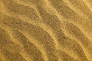Kum çöl dokusu