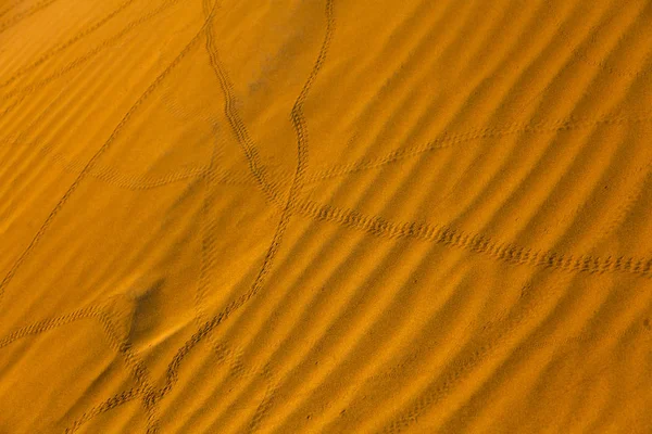 Thar woestijn heuvels en Footprints — Stockfoto