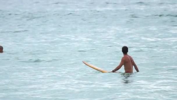 Surfista en las olas — Vídeo de stock