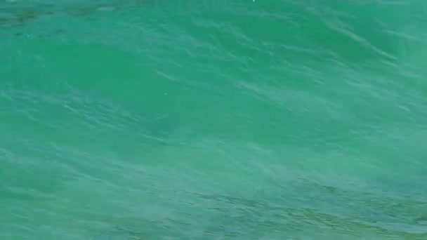 Серферы на волнах — стоковое видео