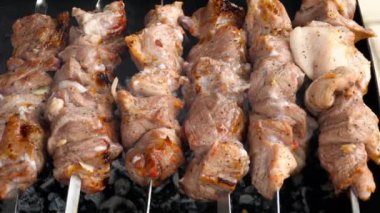 Bir ızgarada Marine edilmiş şaşlık