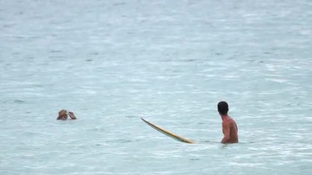 Surfista sulle onde — Video Stock