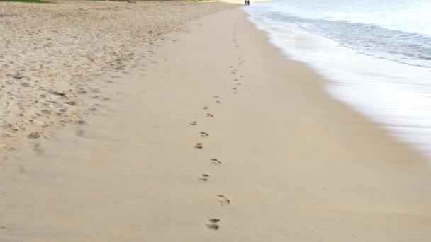 Huellas en la playa — Vídeo de stock