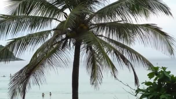 Praia de Nai Harn, ao sul da ilha de Phuket — Vídeo de Stock