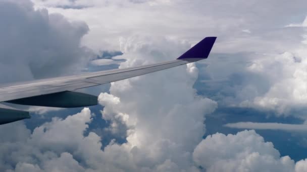 Vista aérea do avião descendente — Vídeo de Stock