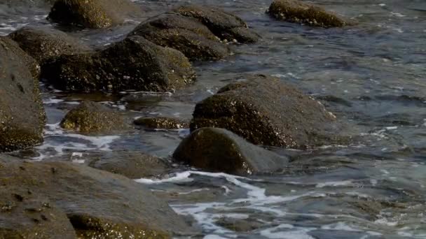 Océano olas costeras. — Vídeo de stock