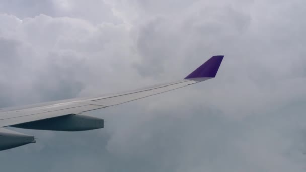 从下降的飞机俯瞰空中 — 图库视频影像