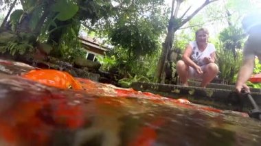 Sualtı Koi balık gölet yeme.