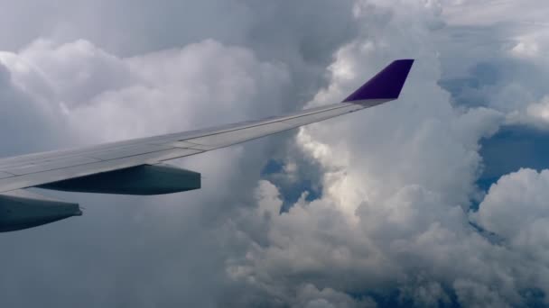 มุมมองทางอากาศจากเครื่องบินลงมา — วีดีโอสต็อก