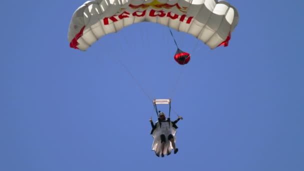 Крылатый прыгун с парашютом — стоковое видео