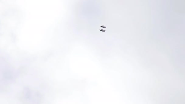 Wingsuite-Fallschirmspringer am Himmel — Stockvideo