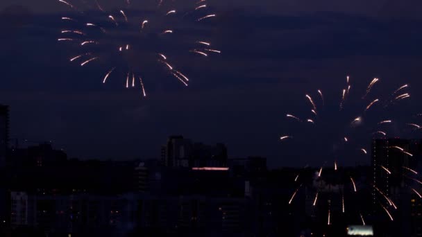 Belo fogo de artifício no céu da noite — Vídeo de Stock