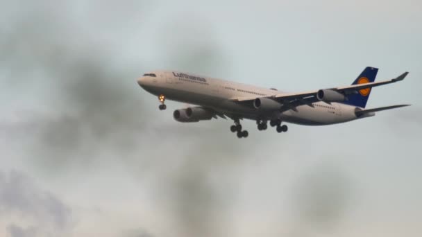 Lufthansa Airbus 340 acercándose — Vídeo de stock