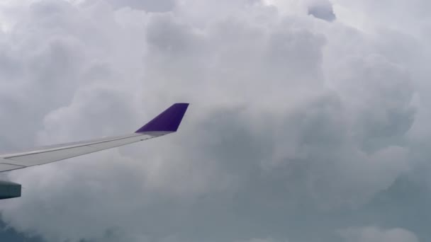 Vista aérea desde el avión descendente — Vídeos de Stock