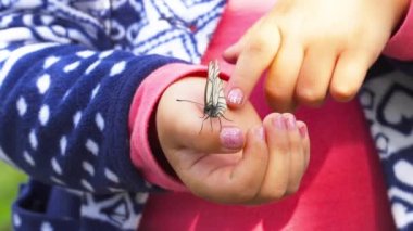 Kelebek çocuk avuç üzerinde oturan