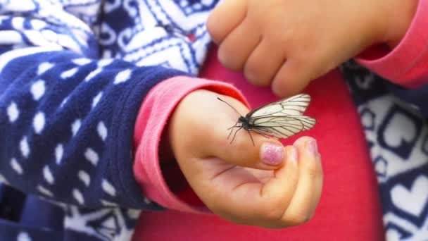 Метелик сидить на долоні дитини — стокове відео