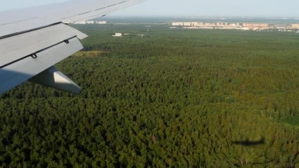 Aerial view from descending airplane — Stock Video