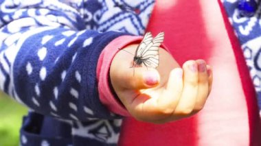 Kelebek çocuk avuç üzerinde oturan