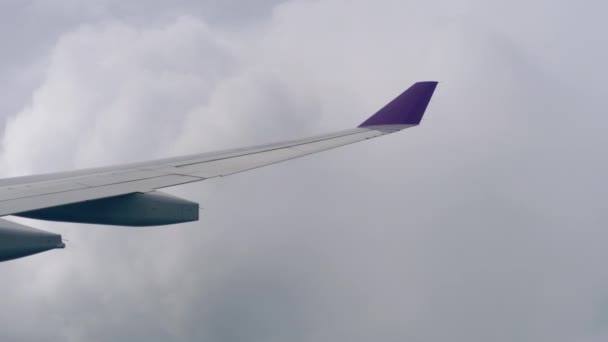 Vista aérea desde el avión descendente — Vídeos de Stock