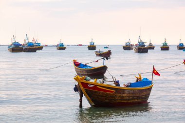 Vietnam'da Balıkçılık