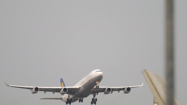 Lufthansa Airbus 340 opstijgen — Stockvideo