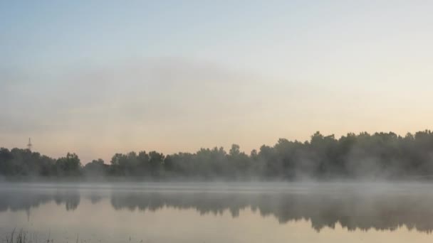 Misty madrugada en el lago del bosque — Vídeos de Stock