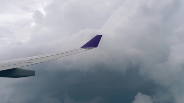 Vista aérea desde el avión descendente — Vídeo de stock