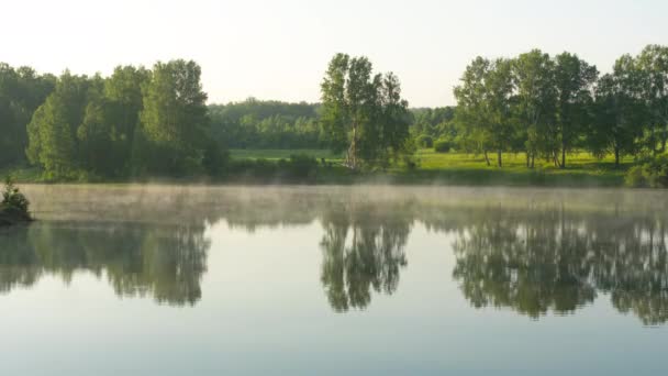 숲 호수에서 아름다운 이른 아침 — 비디오