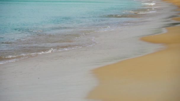 Les vagues d'azur ont roulé le rivage de Nai Harn Beach — Video