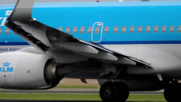 KLM Boeing 737 påskynda före avgång — Stockvideo