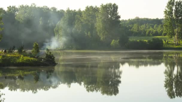 Krásné časné ráno v lese jezera — Stock video