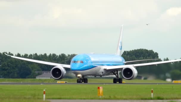 KLM Dreamliner acelera antes del despegue — Vídeo de stock