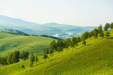 Sibirya, dağ Altay Bölgesi