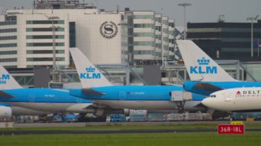 Amsterdam Havaalanı'nda sabah trafiği