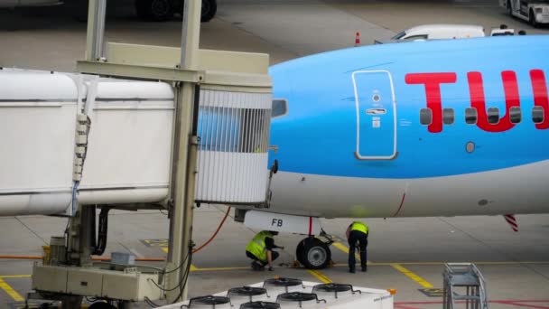 TUI Fly Boeing 737 estremità di rullaggio — Video Stock