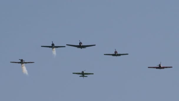 Grupo de rendimiento de aviones deportivos vuelo acrobático — Vídeo de stock