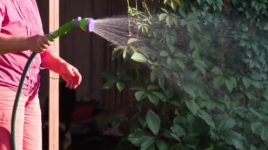 El ile Bahçe püskürtücü